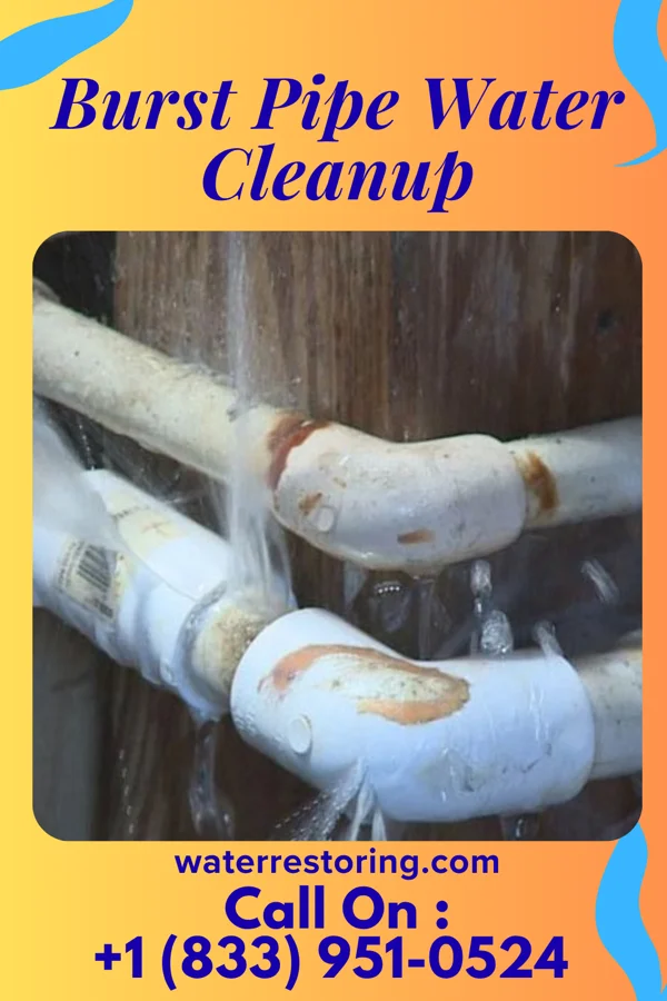 Burst Pipe Water Cleanup in Aroma Park, IL