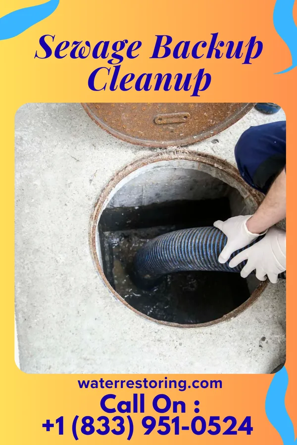 Sewage Backup Cleanup in Aroma Park, IL