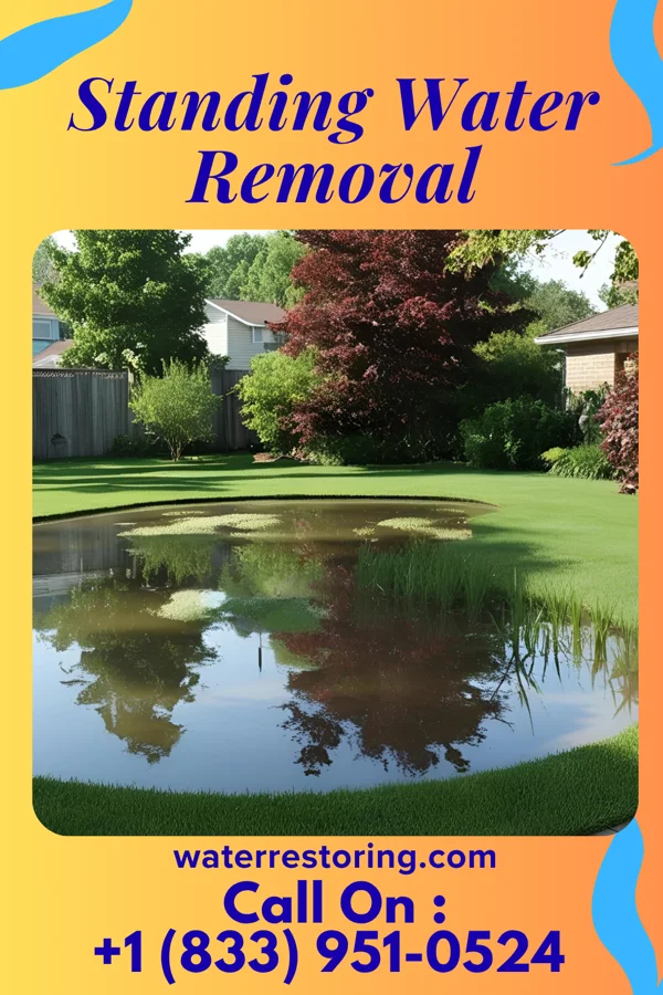 Standing Water Removal in Aroma Park, IL
